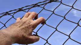 vězení ruka barbed-wire-1408454 1280